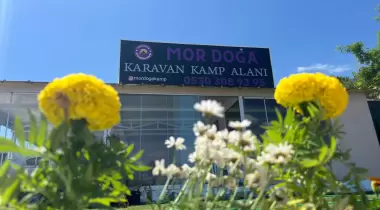 Çadır alanı